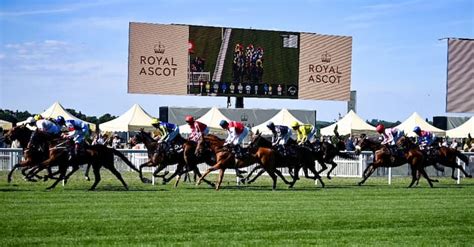 royal ascot stats